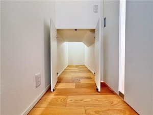 倉敷市西中新田、新築一戸建ての収納画像です
