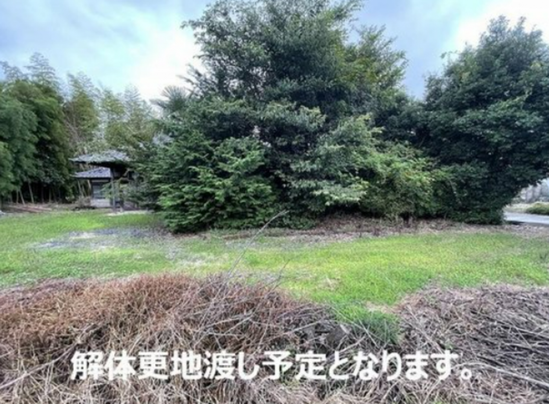 真岡市東沼、土地の画像です
