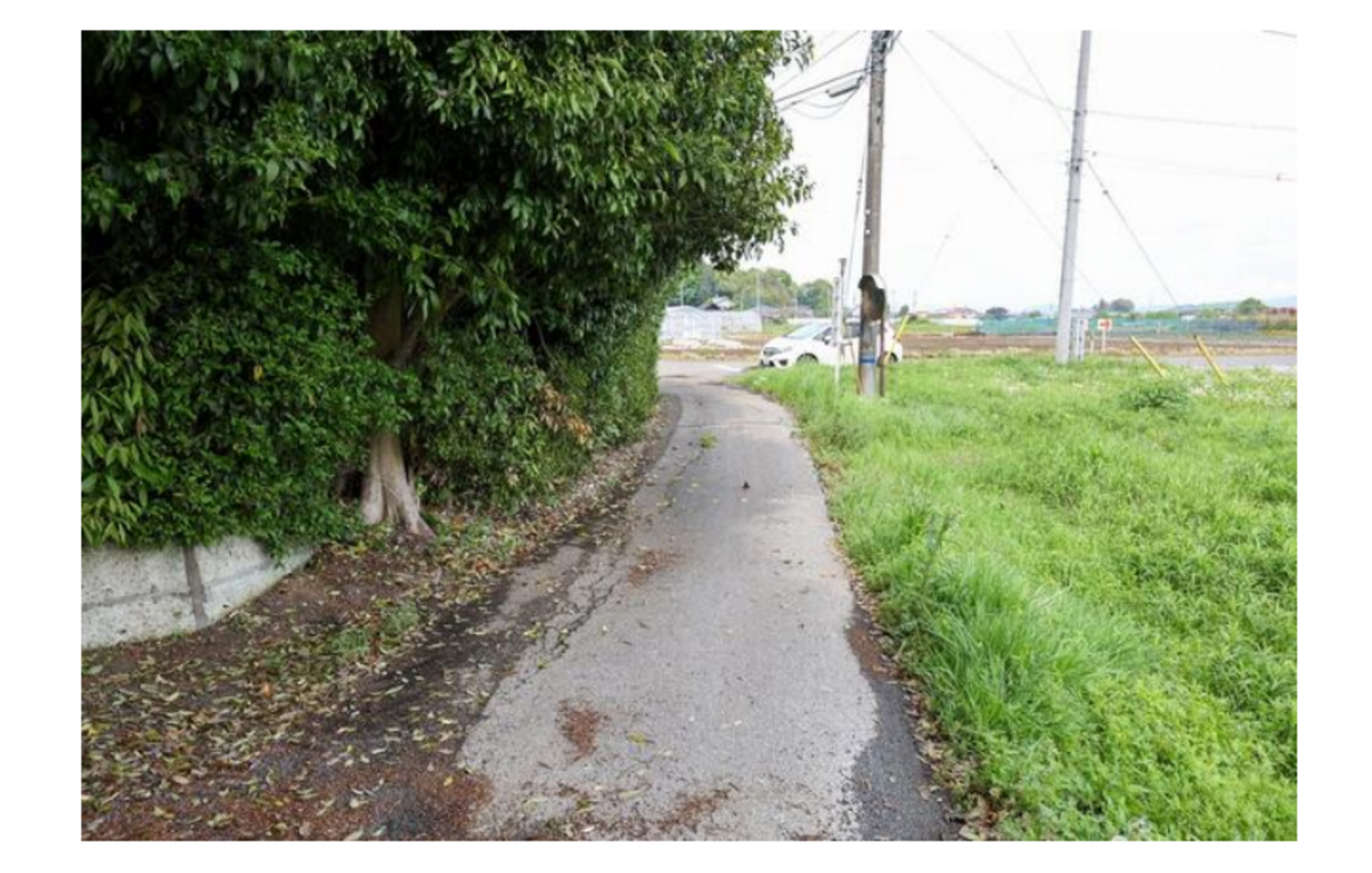 真岡市大和田、土地の画像です