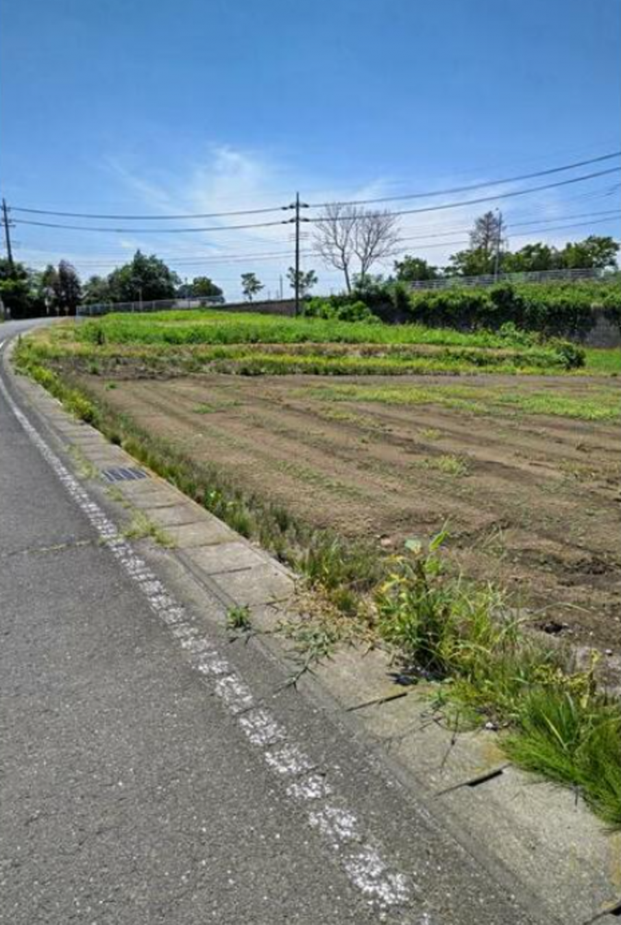 真岡市石島、土地の画像です