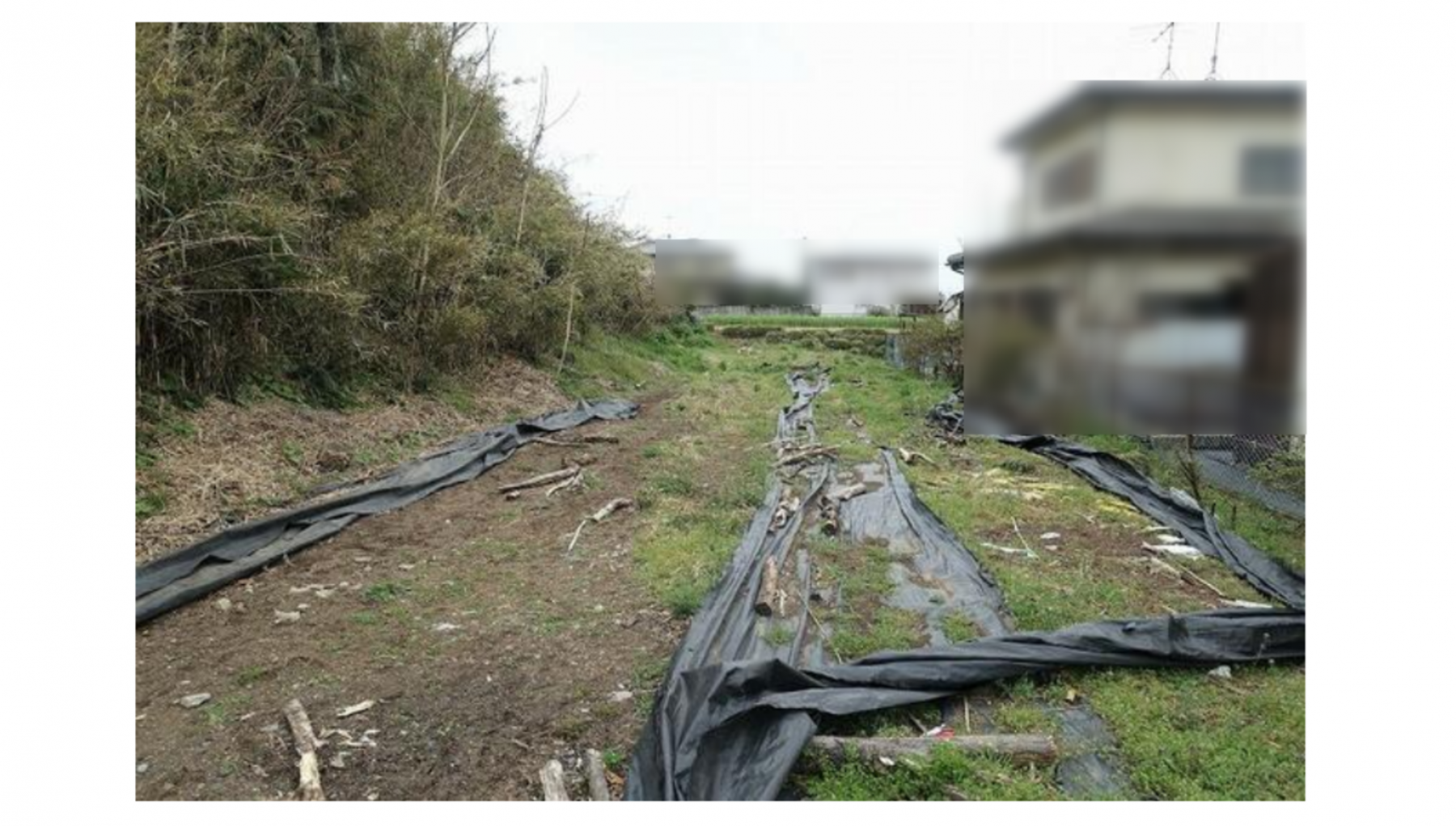 真岡市石島、土地の画像です