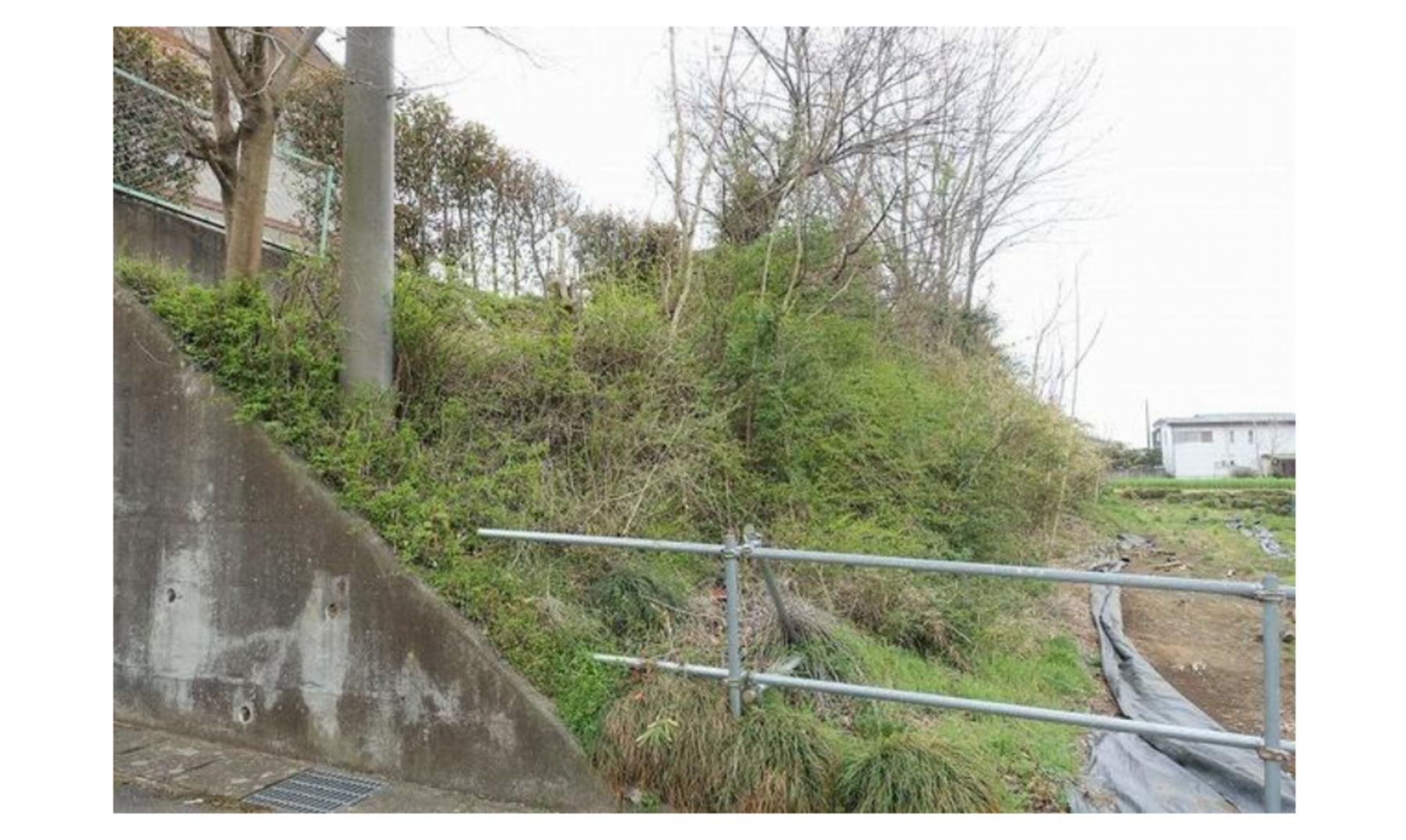 真岡市石島、土地の画像です