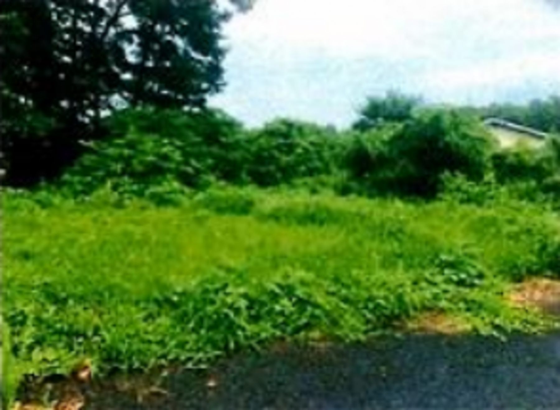 芳賀郡芳賀町大字稲毛田、土地の画像です