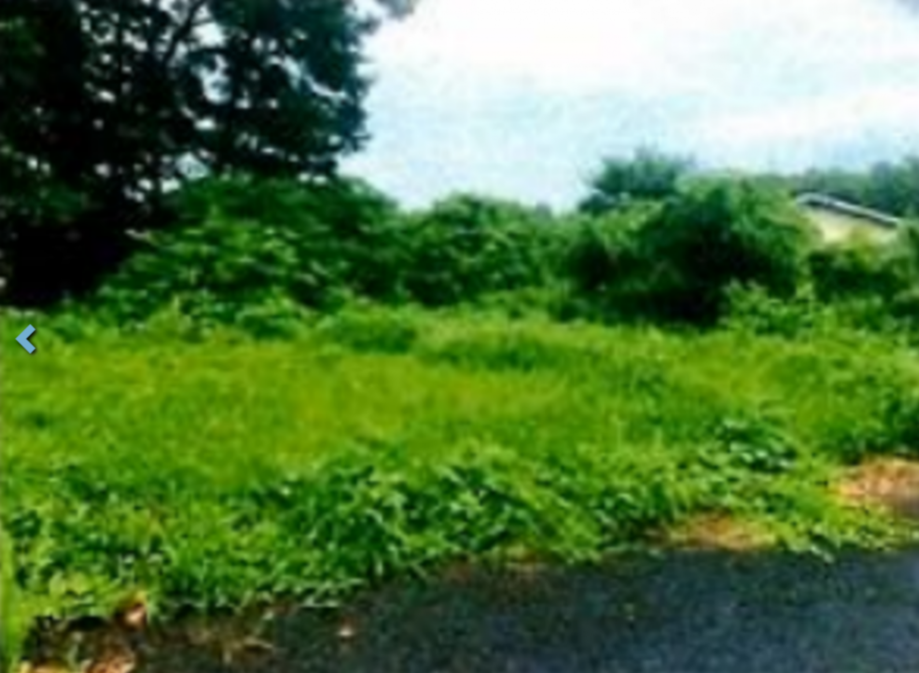 芳賀郡芳賀町大字稲毛田、土地の間取り画像です