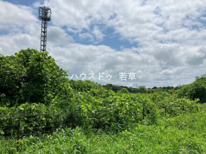 芳賀郡芳賀町大字西水沼、土地の画像です