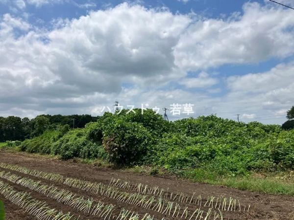 芳賀郡芳賀町大字西水沼、土地の画像です