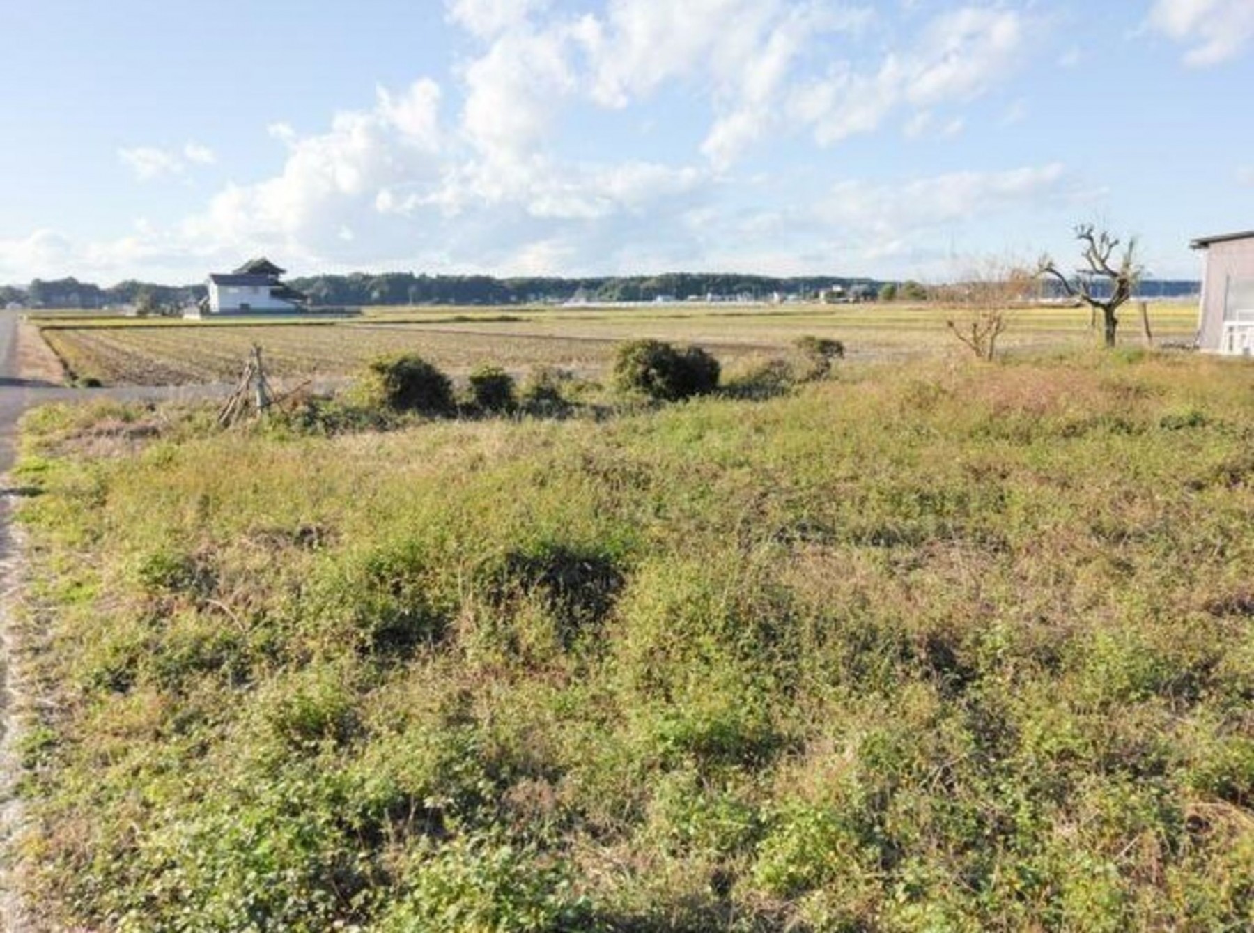 真岡市西郷、土地の画像です