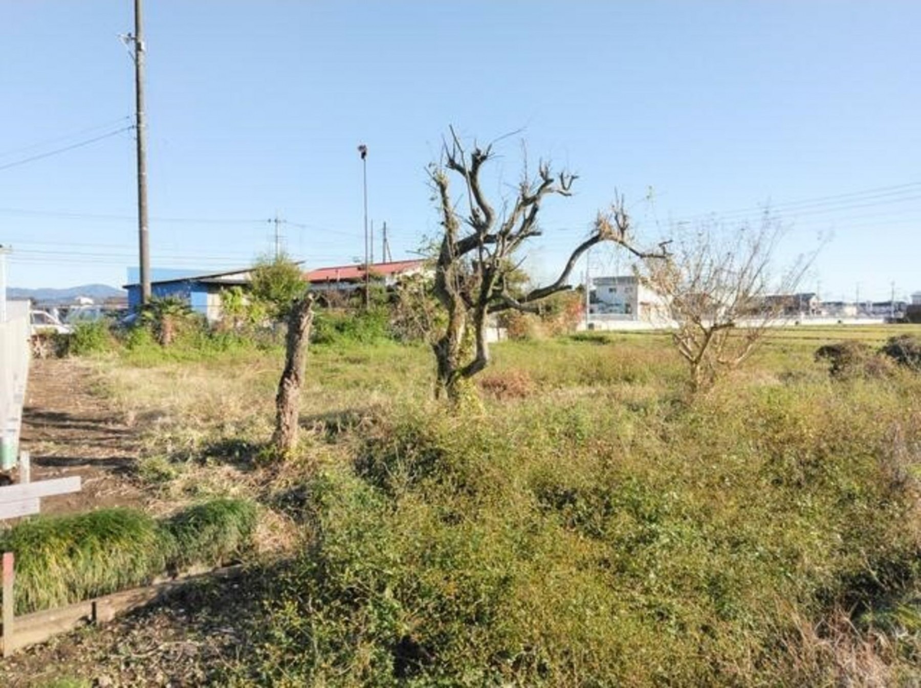 真岡市西郷、土地の画像です