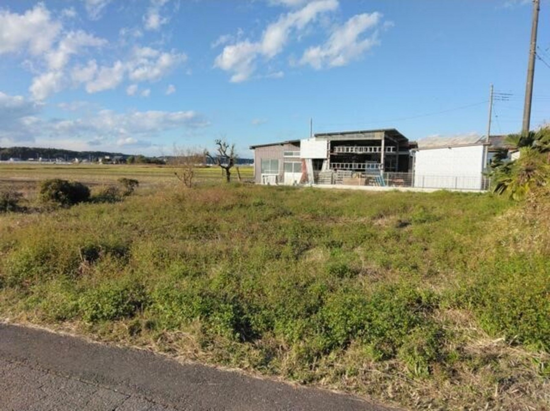 真岡市西郷、土地の画像です