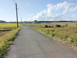 真岡市西郷、土地の画像です