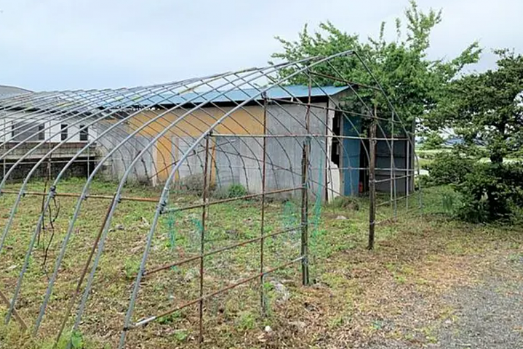 芳賀郡芳賀町大字芳志戸、土地の画像です