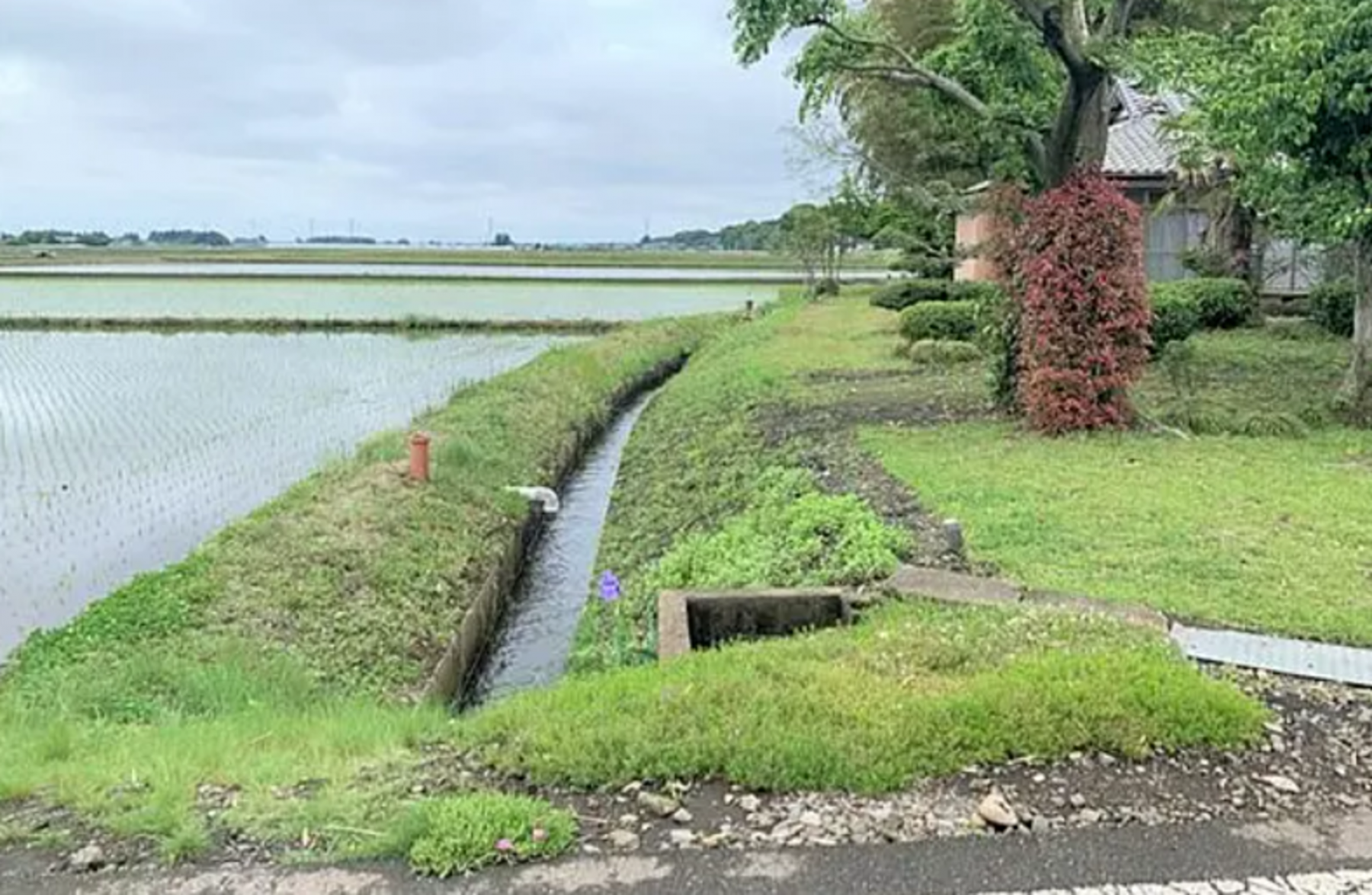 芳賀郡芳賀町大字芳志戸、土地の画像です