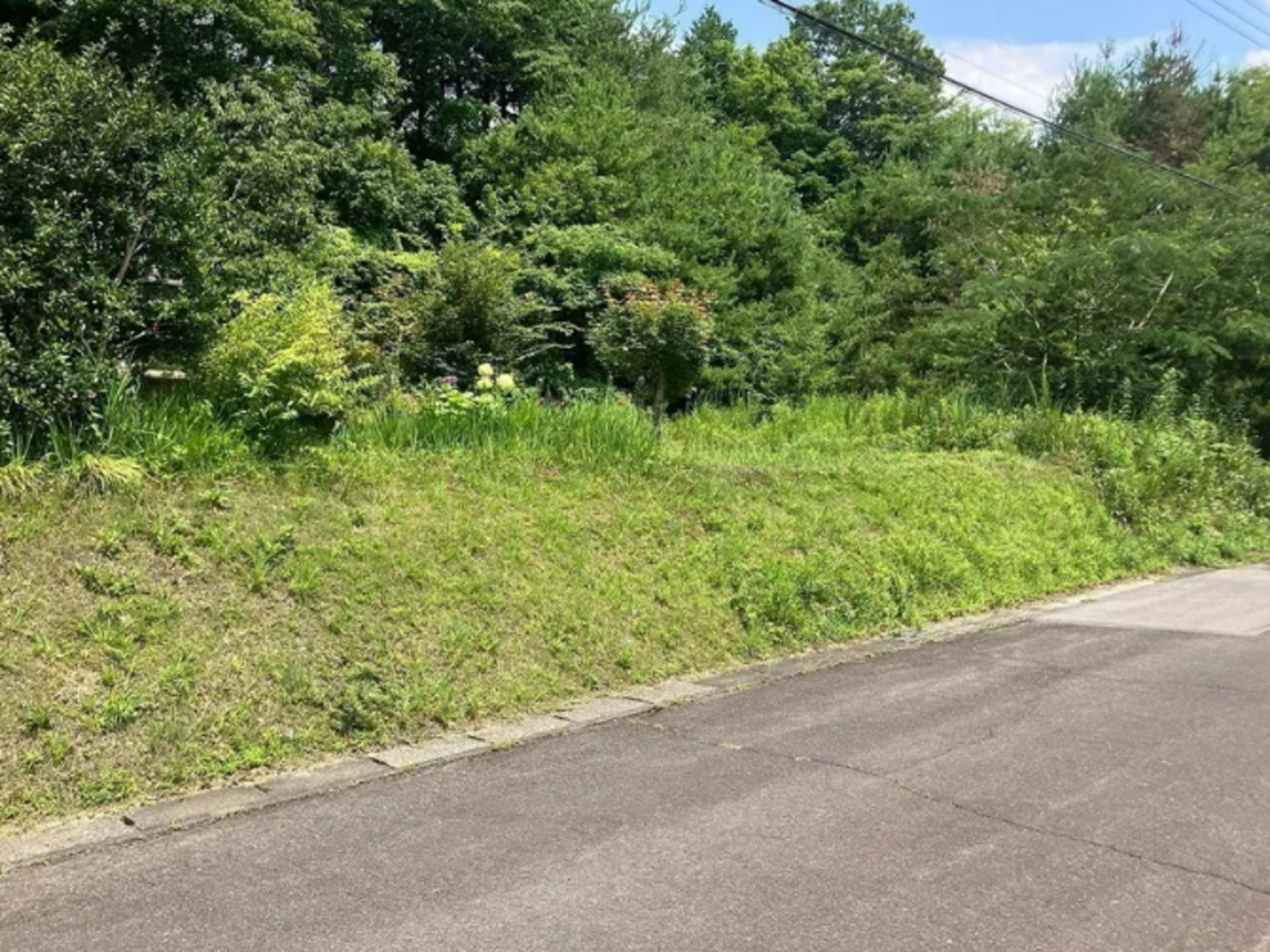 芳賀郡益子町大字益子、土地の画像です