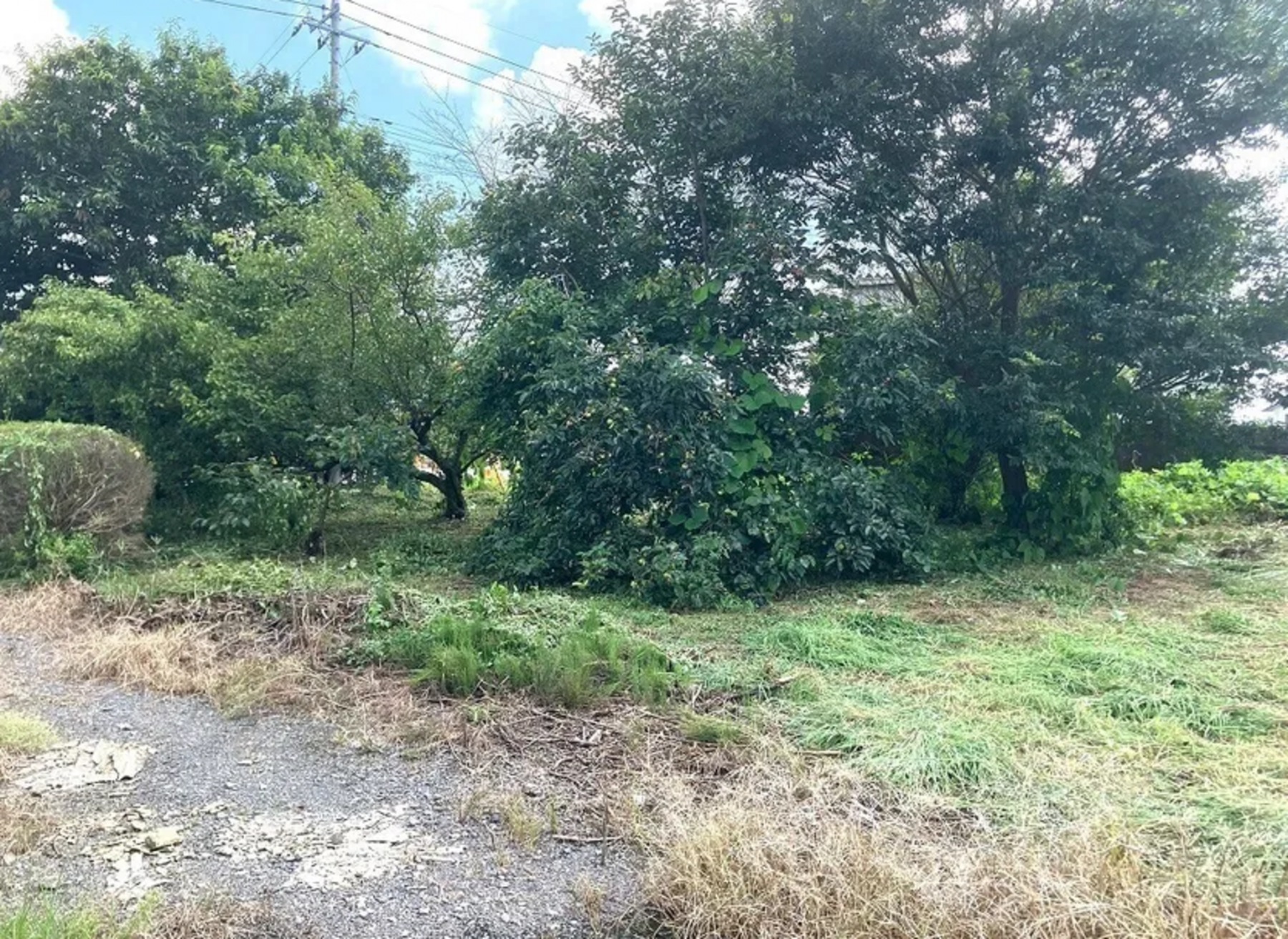 真岡市八條、土地の画像です