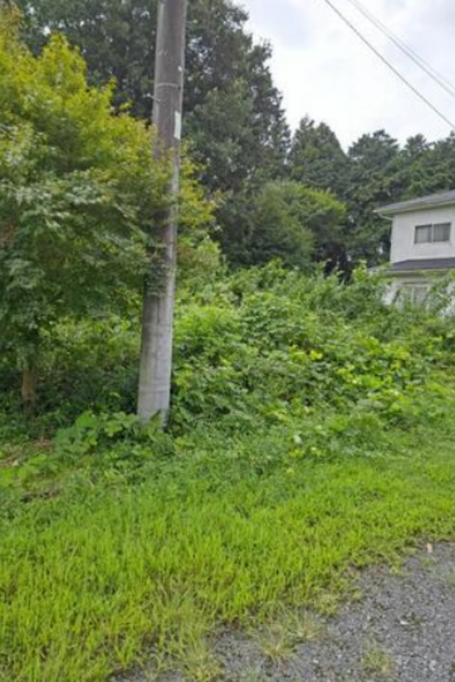 芳賀郡益子町大字塙、土地の画像です