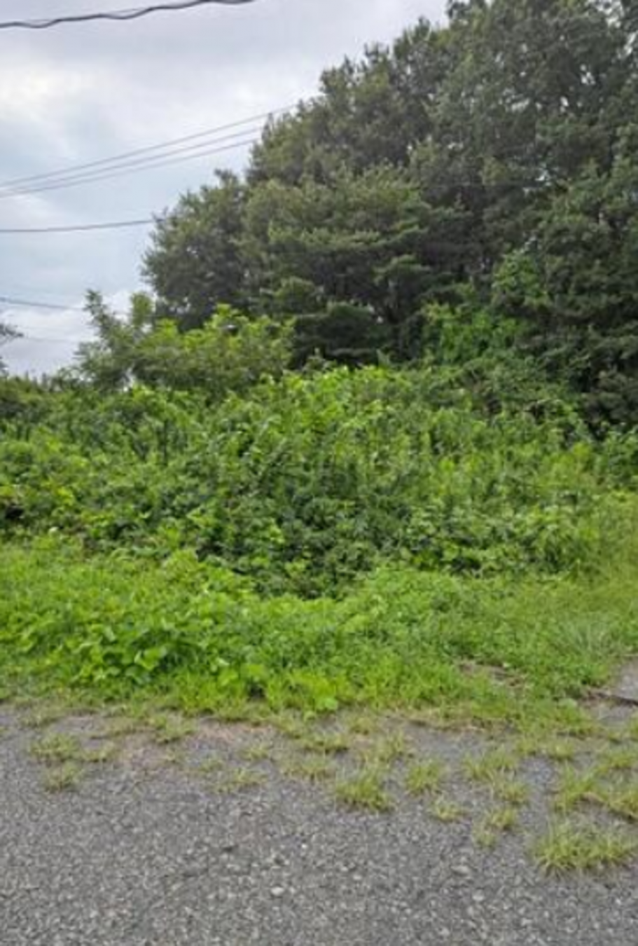 芳賀郡益子町大字塙、土地の画像です