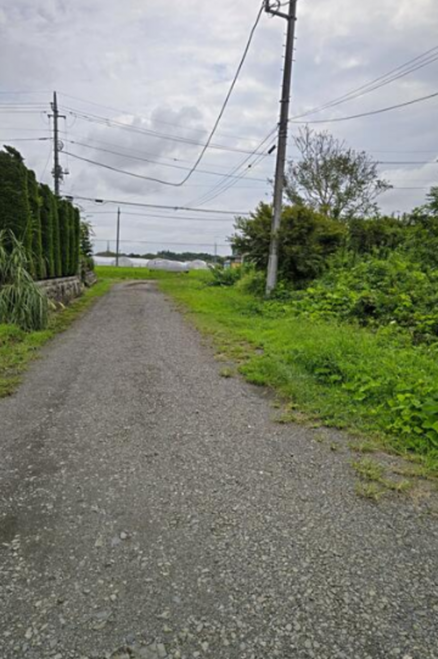 芳賀郡益子町大字塙、土地の画像です