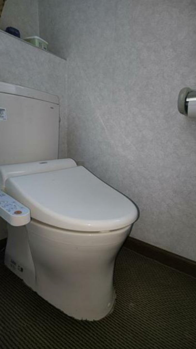 真岡市久下田西、中古一戸建てのトイレ画像です