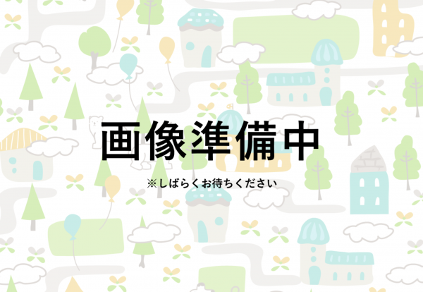 芳賀郡芳賀町大字祖母井、土地の間取り画像です