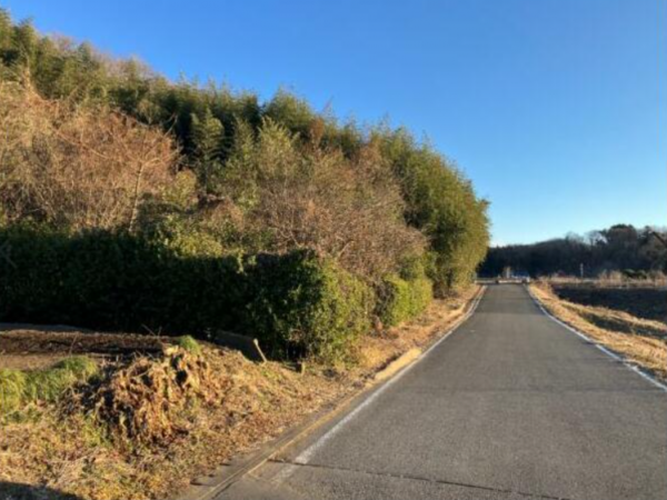 芳賀郡市貝町大字市塙、土地の画像です