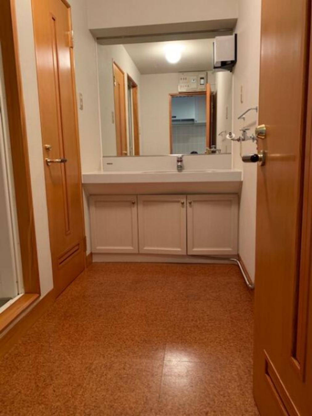 芳賀郡益子町大字益子、マンションの洗面画像です