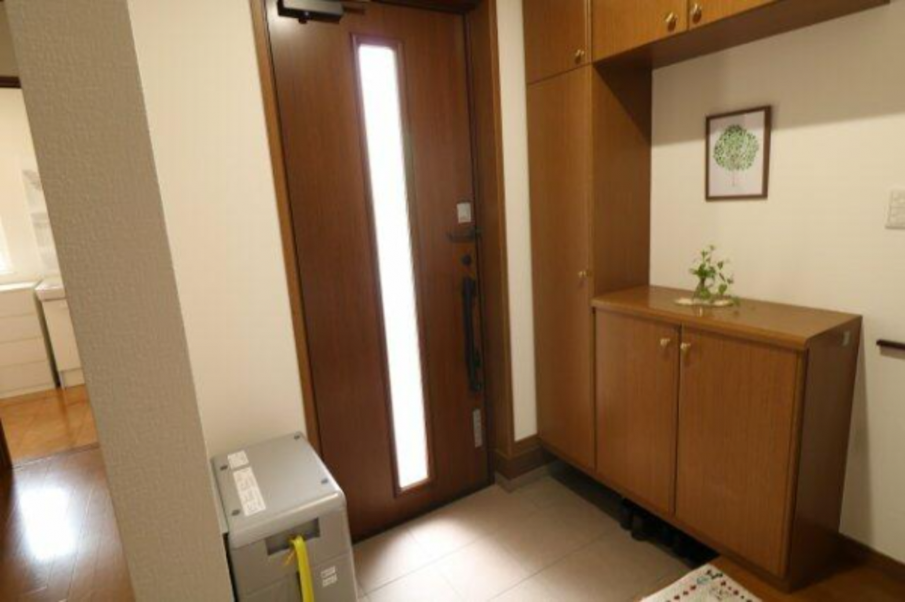 真岡市大谷台町、中古一戸建ての玄関画像です