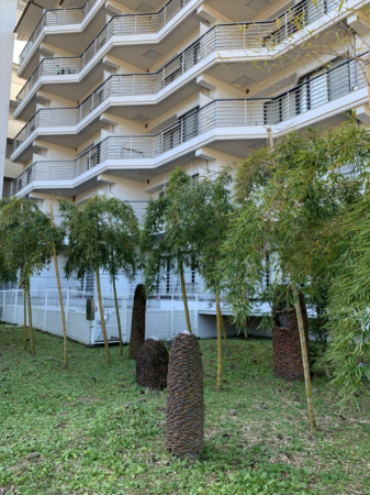 芳賀郡益子町大字益子、マンションの画像です