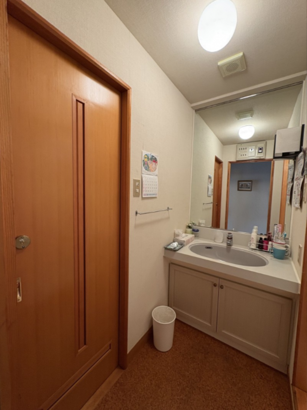 芳賀郡益子町大字益子、マンションの洗面画像です