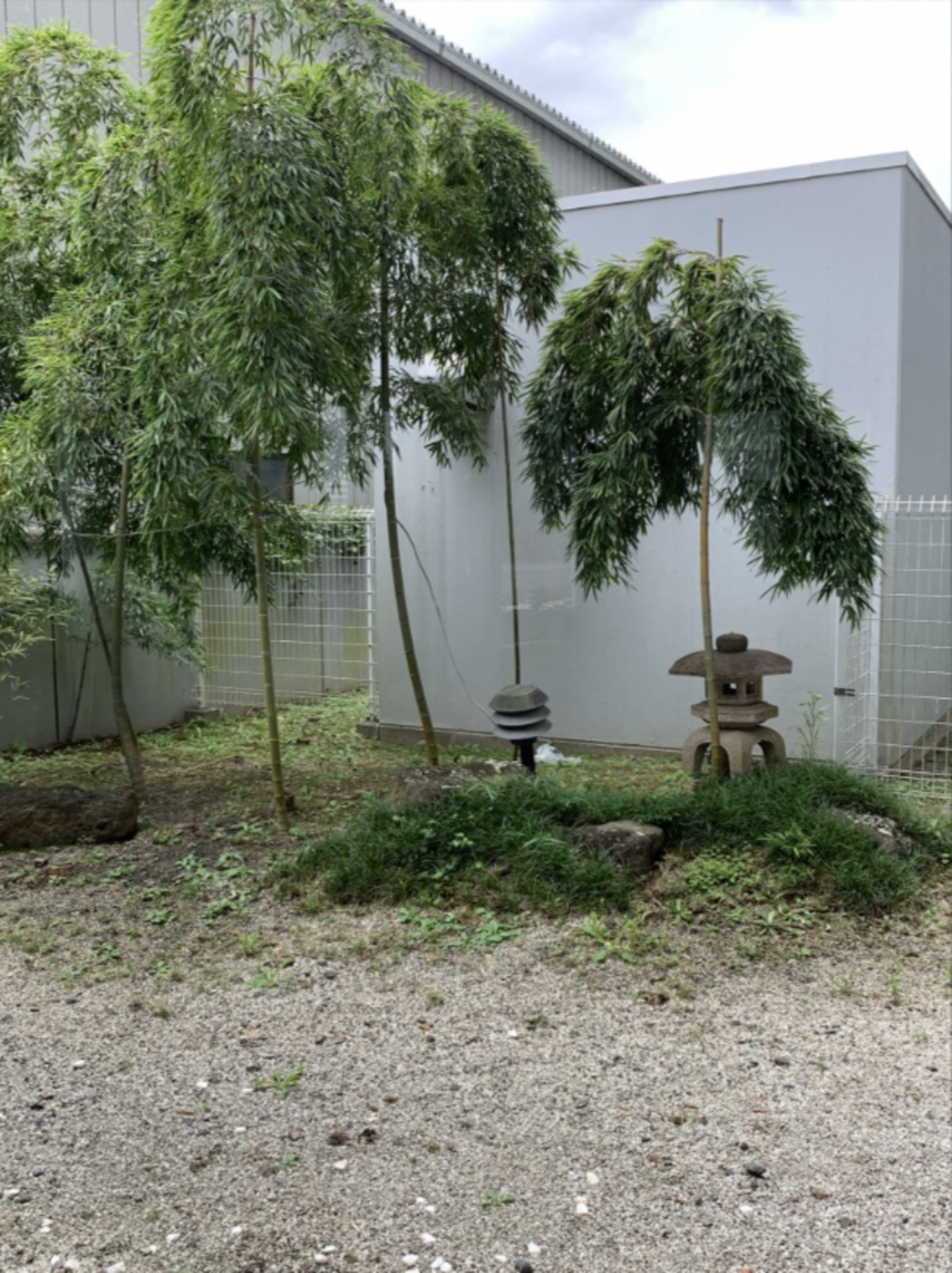 芳賀郡益子町大字益子、マンションのその他画像です