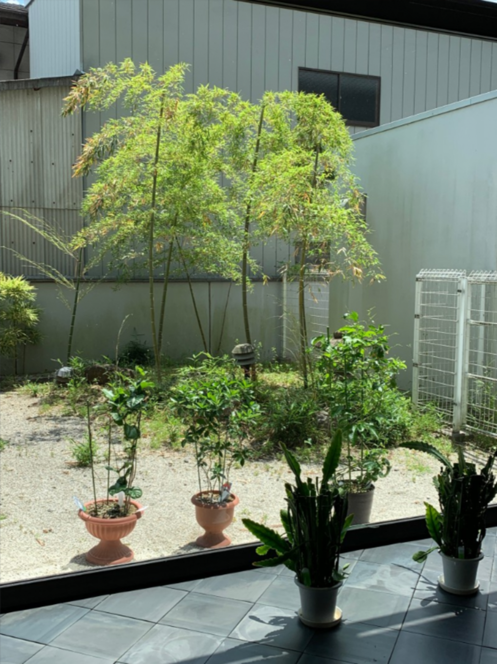 芳賀郡益子町大字益子、マンションのその他画像です