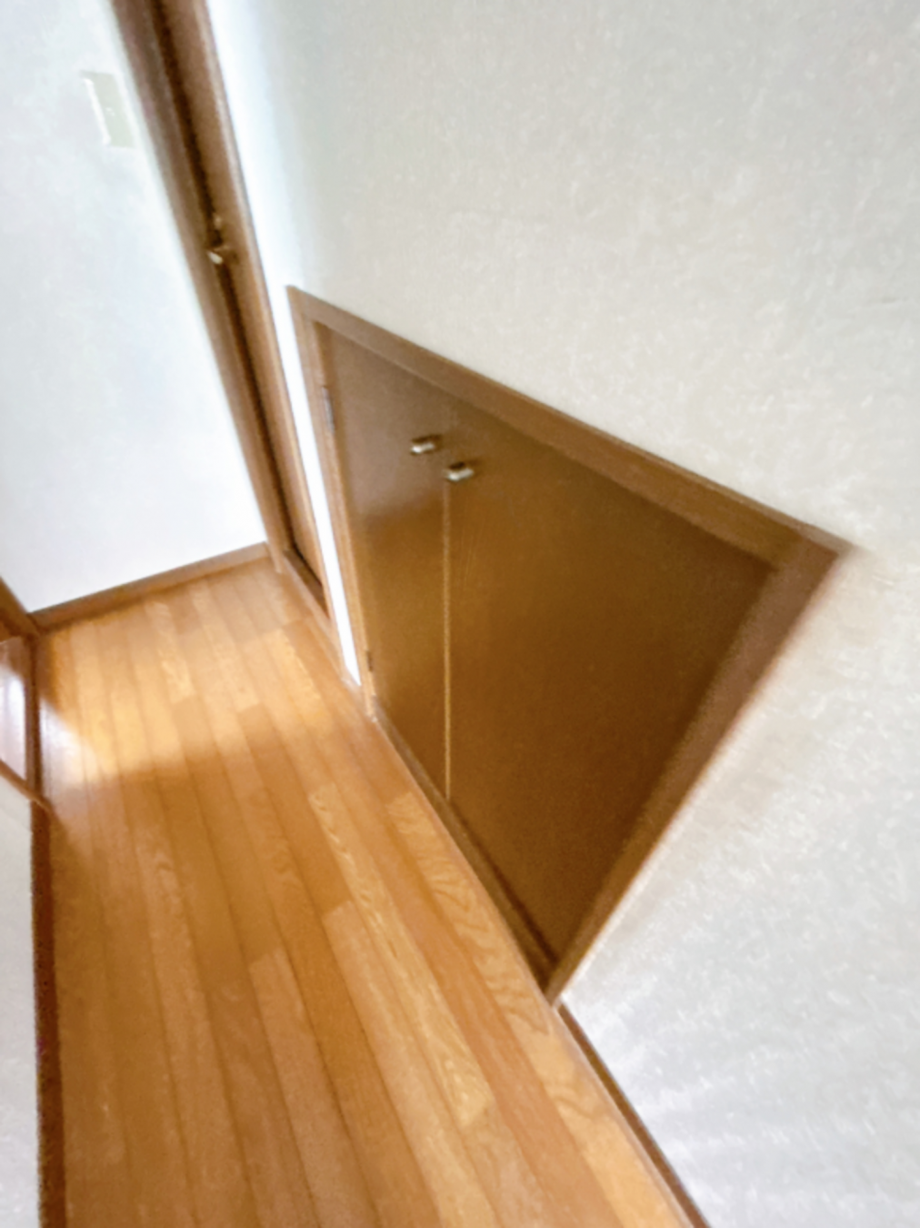 真岡市熊倉、中古一戸建ての収納画像です