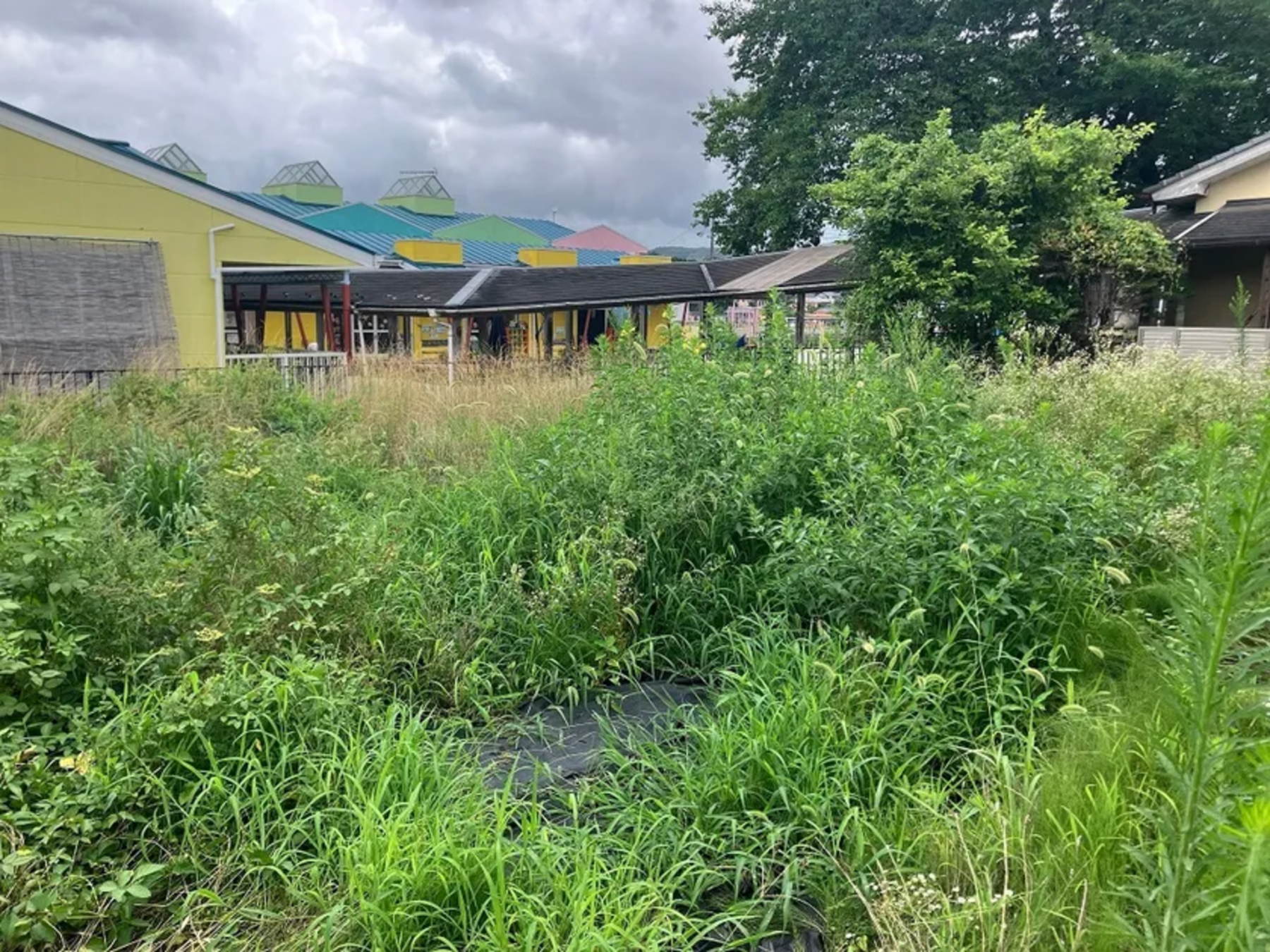 芳賀郡益子町大字長堤、土地の画像です