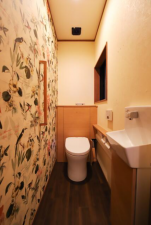 芳賀郡市貝町大字杉山、中古一戸建てのトイレ画像です