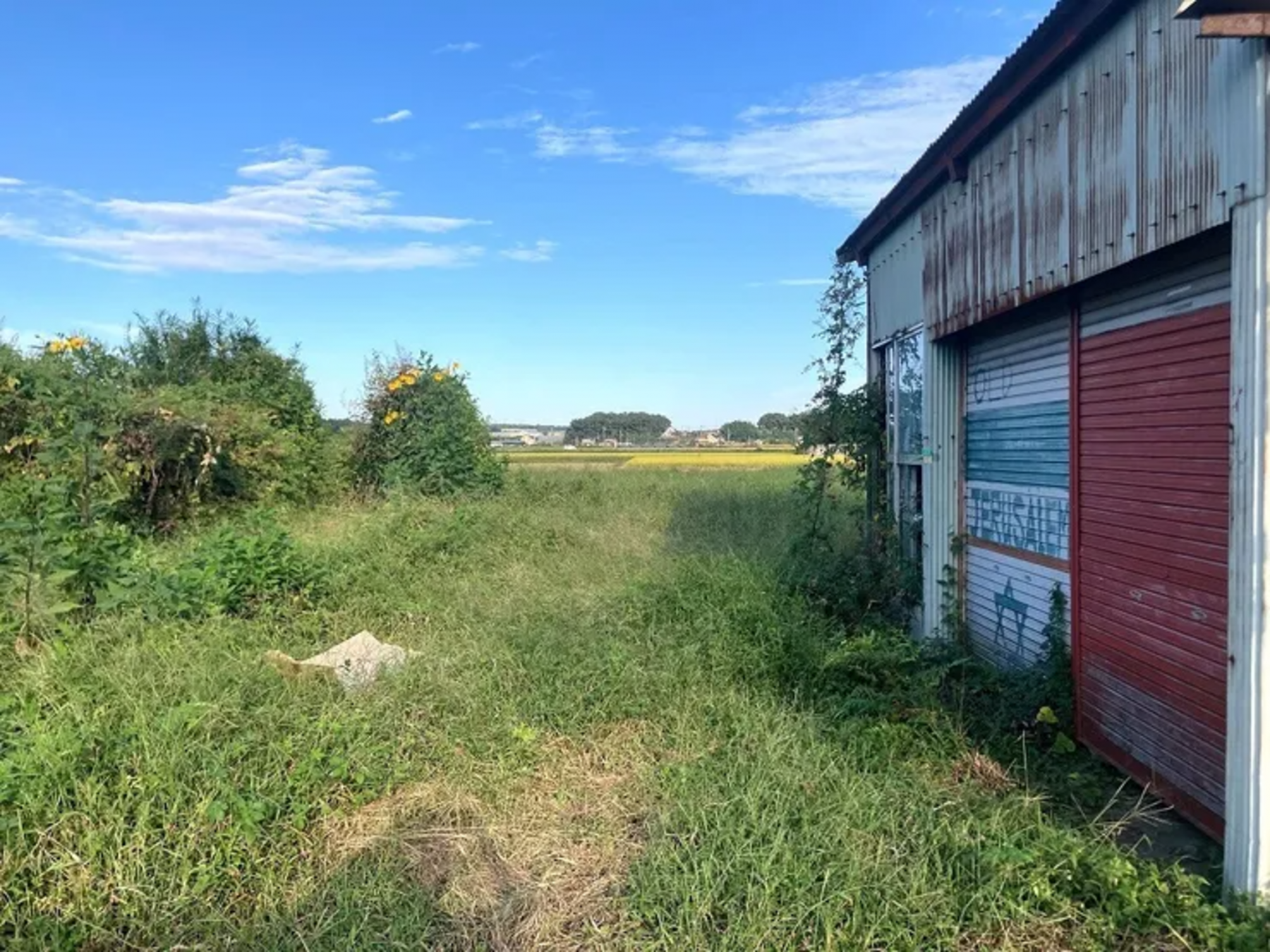 芳賀郡芳賀町大字上延生、土地の画像です