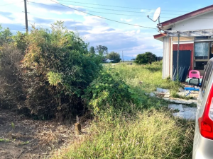 芳賀郡芳賀町大字上延生、土地の画像です