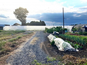 芳賀郡芳賀町大字上延生、土地の画像です