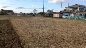 真岡市島、土地の画像です