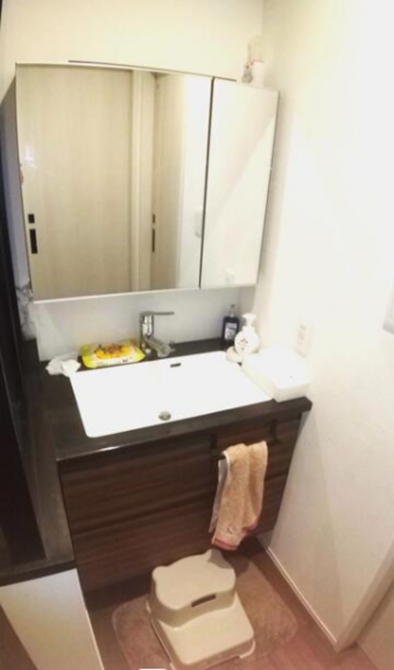 芳賀郡益子町大字塙、中古一戸建ての洗面画像です