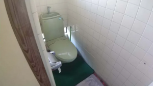 真岡市西田井、中古一戸建てのトイレ画像です