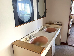 芳賀郡益子町大字七井、中古一戸建ての洗面画像です