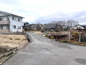 芳賀郡芳賀町大字稲毛田、土地の画像です