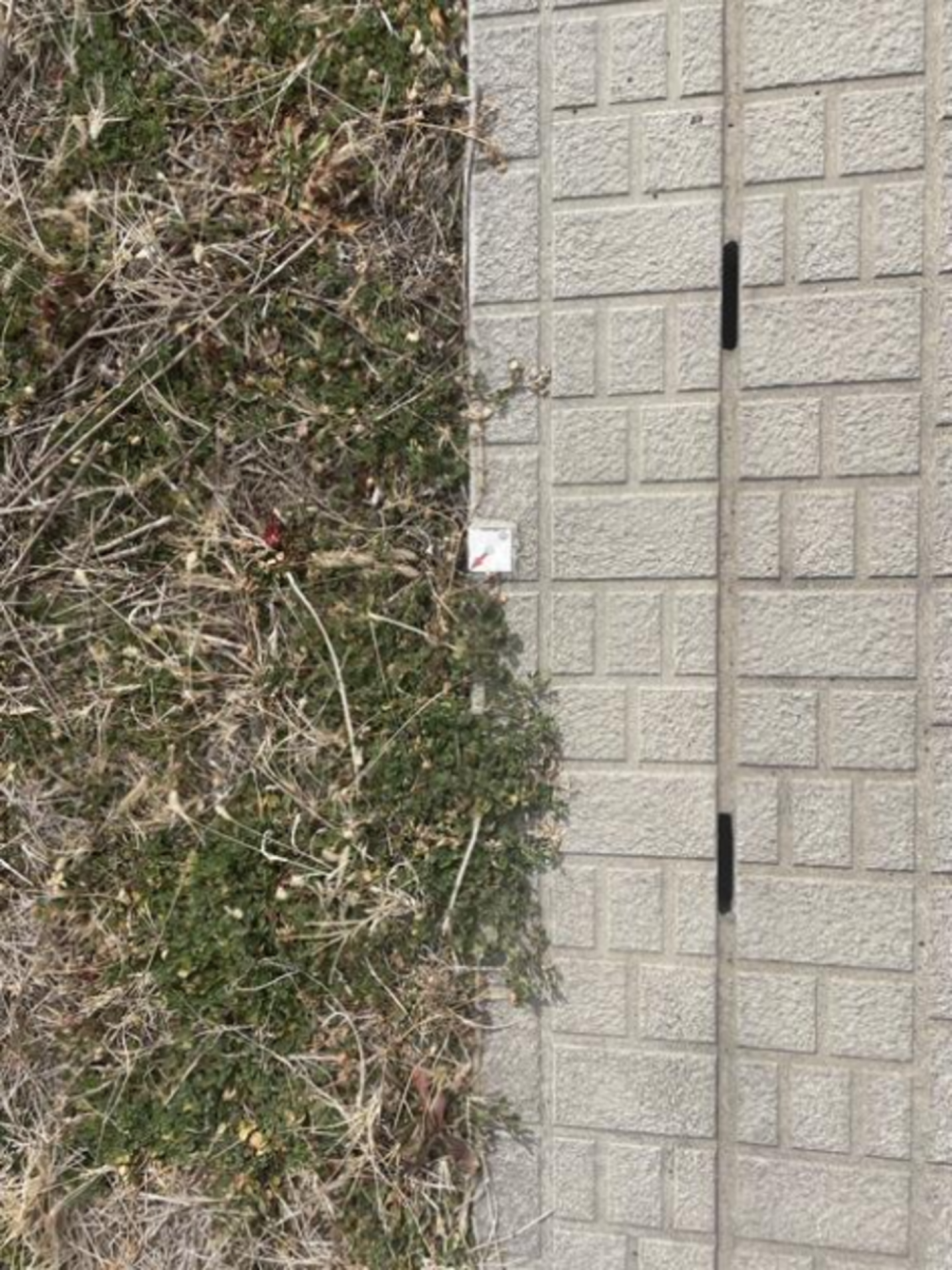 河内郡上三川町多功、土地の画像です