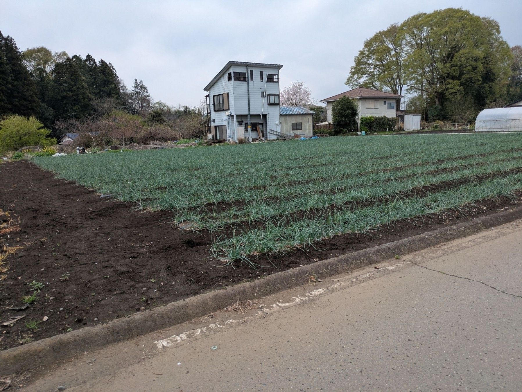 芳賀郡益子町大字益子、土地の画像です