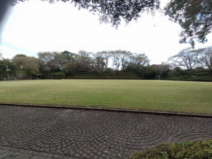 河内郡上三川町上三川、土地の公園画像です