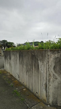 真岡市さくら、土地の画像です