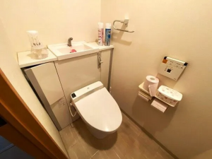 真岡市大谷台町、マンションのトイレ画像です