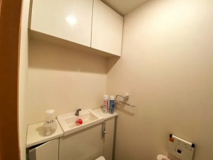真岡市大谷台町、マンションのトイレ画像です