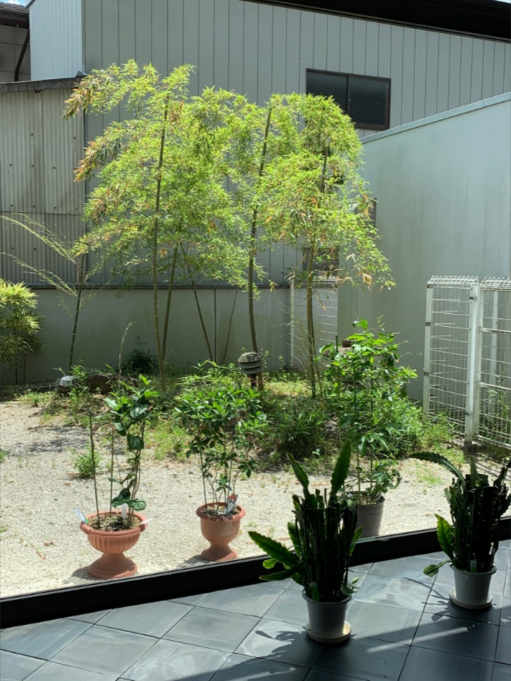 芳賀郡益子町大字益子、マンションのエントランス画像です