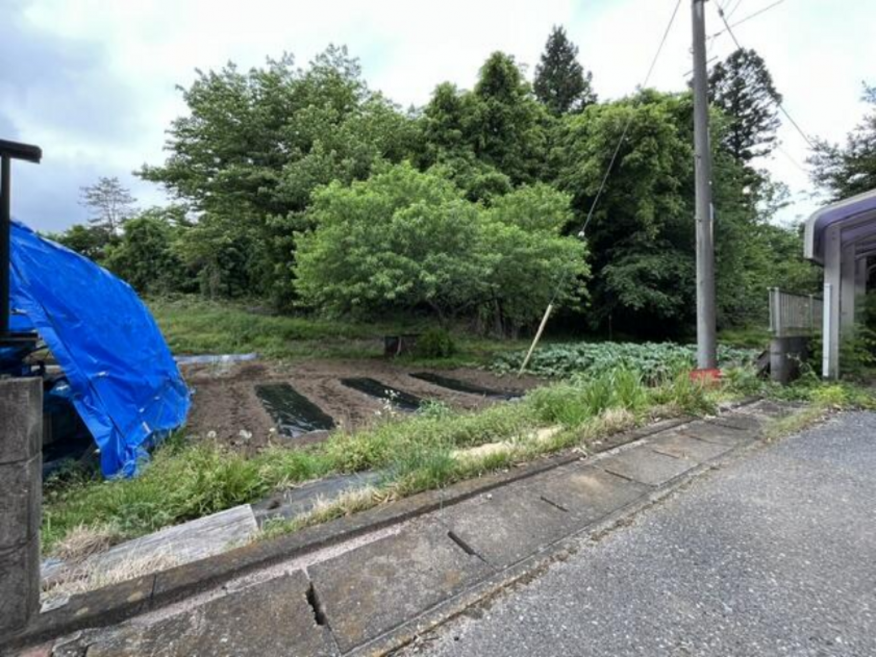 芳賀郡市貝町大字上根、土地の画像です