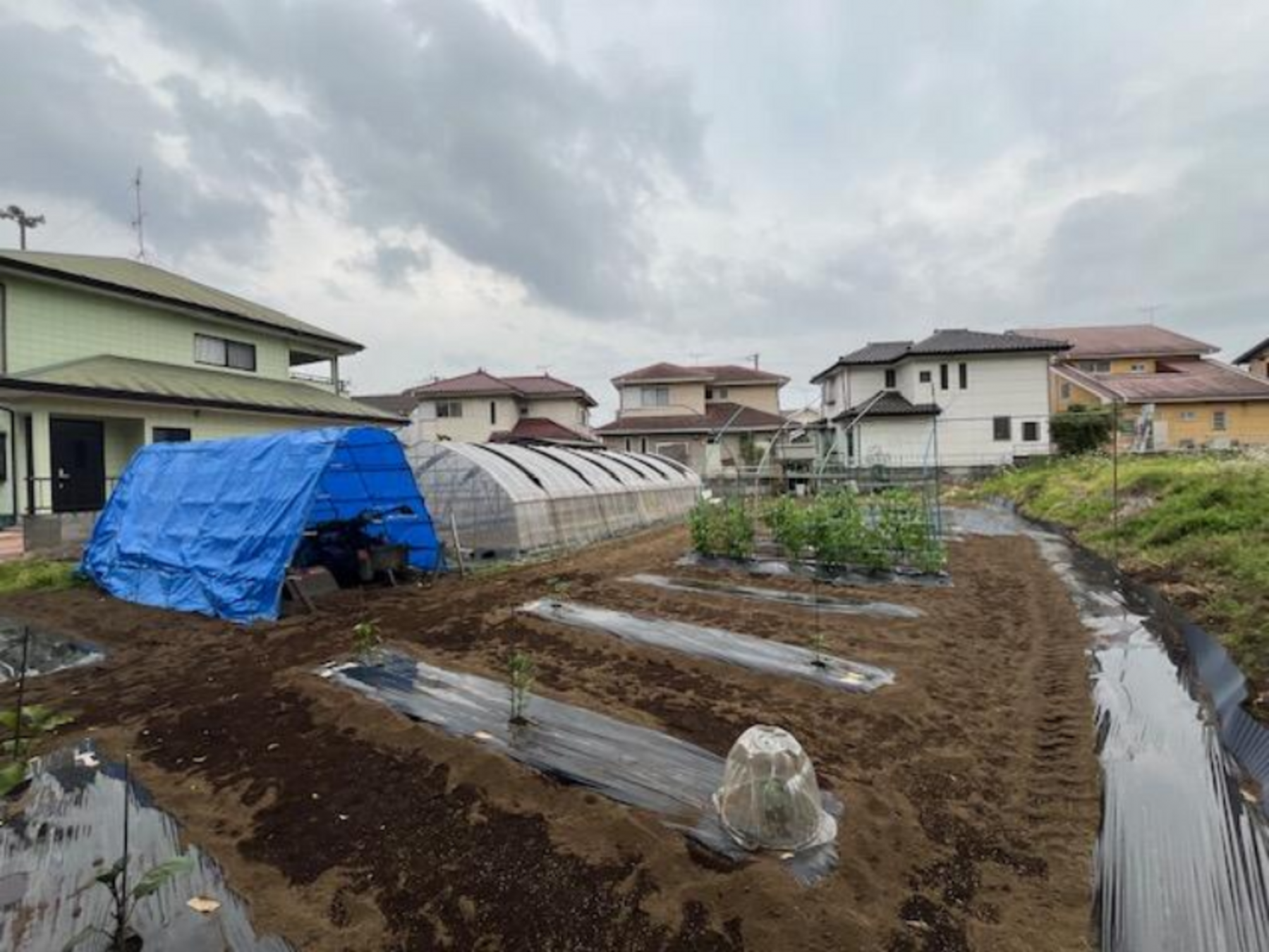 芳賀郡市貝町大字上根、土地の画像です